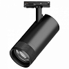 Светильник на штанге Lightstar Canno Pro C4307SS 100_100_3096864